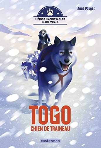 Togo, chien de traineau
